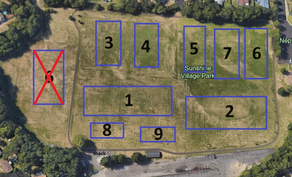 Spring 24 NSA Field Layout